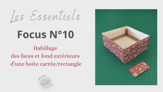 Focus N°10 - VIDEO
