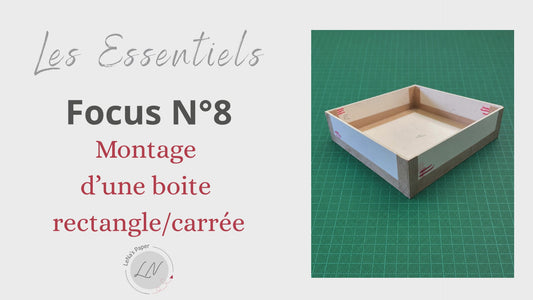 Focus N°8 - VIDEO