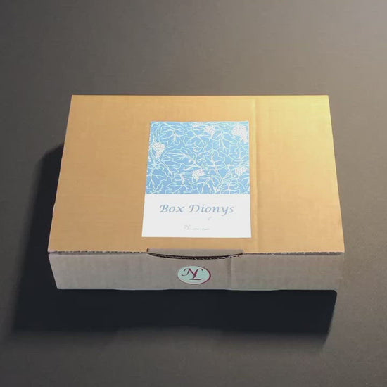 La box Papeterie DIONYS LeNa's Pape