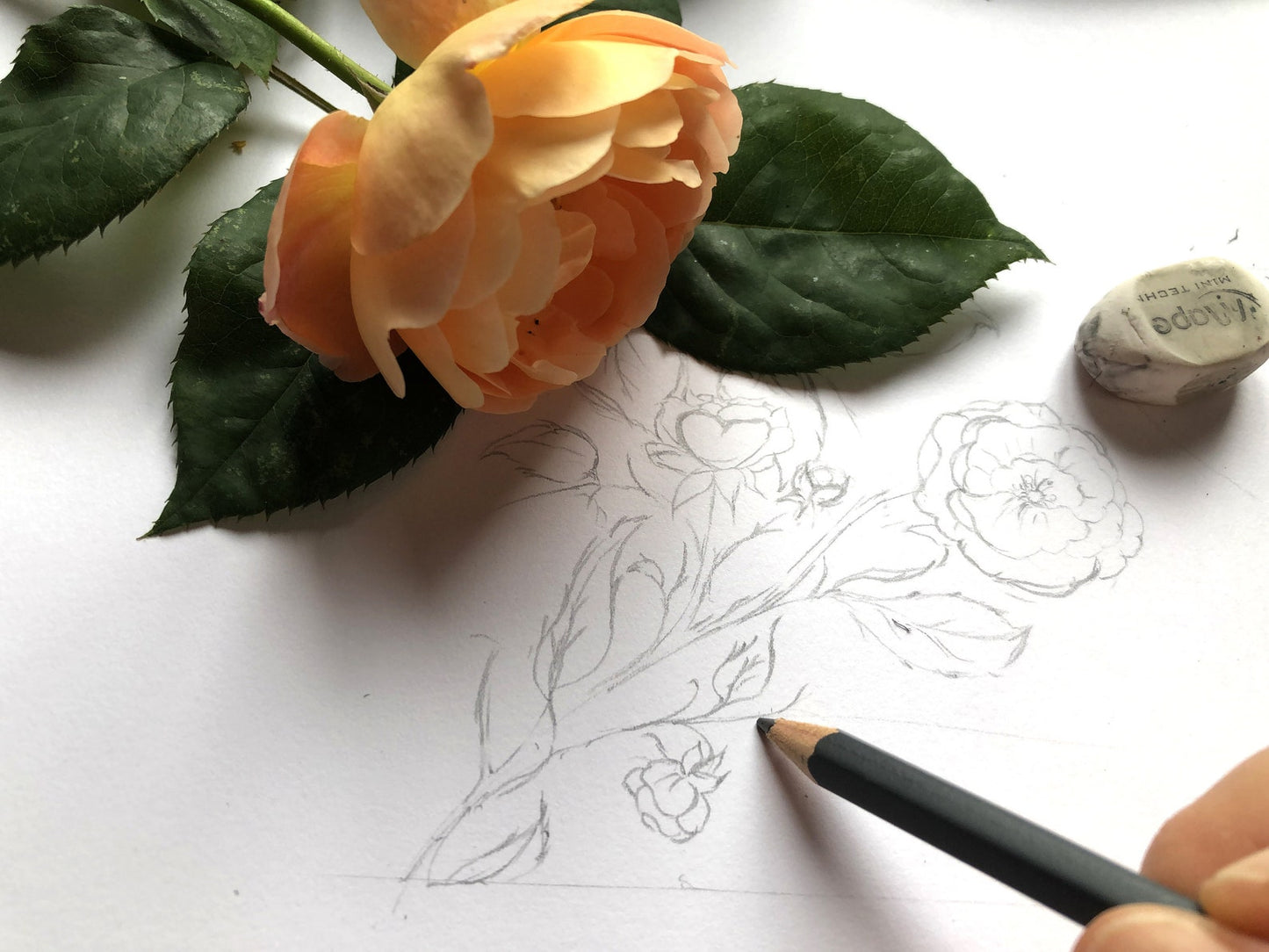 Carnet A6 ROSY - 48 pages blaches - Notebook papeterie fleurie Lena's Paper